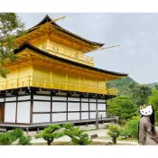日本 金閣寺 祈福 拜拜 錢母 發財 發財金 招財 發大財 金發財 開運 尾牙 過年 送禮 結緣