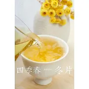 【桔多商行】四季春 冬片 青茶 茶包 冷泡茶包 冷泡茶 清香型 烏龍 生茶 營業用 業務用 飲料店 商用 烏龍 茶 茶葉