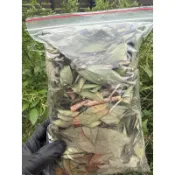 「抹草葉」抹草葉乾 抹草植株 艾草植株 馬蜂橙葉 自然曬乾 自然風乾