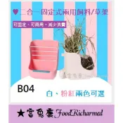 牧草架※B04《富兔康》♥二合一固定式兩用飼料/食盆/草架/兔子用品