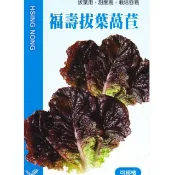 【隔日到貨】 福壽拔葉萵苣(紅葉)【蔬果種子】 興農牌 中包裝種子 約2公克