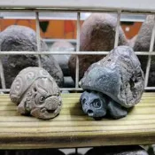 中古陳石雕龜迷你龜神獸龜石龜納福長壽吉祥鎮宅平安招財龜 裝置藝術工藝擺件咖啡民宿收藏觀賞擺飾影視拍攝道具1件1800讓藏