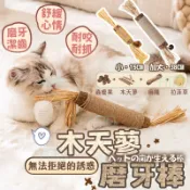 好心情 木天蓼 磨牙棒 木天蓼棒 貓薄荷 貓咪潔牙棒 蟲癭果 貓咪用品 寵物玩具 貓咪玩具 小麥草 貓草棒 逗貓玩具