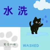 黑皮咖啡 | 【水洗豆 專區】 衣索比亞 肯亞 哥倫比亞 印尼 宏都拉斯 精品咖啡豆 半磅 225g