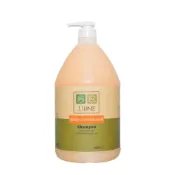 (店+)【SSUNE】植感原萃洗髮精－銀杏蜂膠 4000ml／洗髮乳／強健髮根／改善頭皮／健髮／控油／銀杏／蜂膠