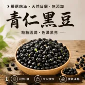 【辛娘香料】黑豆 炒黑豆 青仁黑豆 黑豆茶 黑豆水 黑豆粉 黑豆麥茶 黑豆零食 黑豆青仁 黑豆茶包 生黑豆 熟黑豆