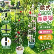 歐式庭院爬藤架陽臺綠植支架可拼接多層飄香藤薔薇花架子室內家用