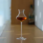 💥免運！🌈桃園出貨💥鬱金香威士忌烈酒品鑑杯水晶玻璃高腳鷄尾酒杯品鑑會試酒杯聞香杯