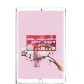 八核 平板電腦  4G通話雙卡Android 10吋 IPS高清屏 WIFI上網  交換禮品