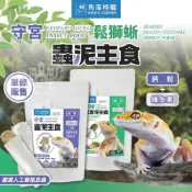 (店+)小搗蛋鬼の王國 守宮蟲泥主食 鬆獅蜥蔬菜蟲泥主食 守宮飼料 鬆獅蜥 小包裝 蟲泥 杜比亞 蟋蟀 麵包蟲 黑水虻 守宮