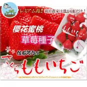 【日本稀有品種】德島櫻花水蜜桃草莓種子 さくらももいちご 夢幻粉白果實 水蜜桃香氣 高觀賞價值 陽台盆栽可種 限量珍貴種