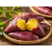 (店+)【陳家糧舍】【陳家糧舍】栗子地瓜條｜開袋即食地瓜｜軟糯香甜｜真空地瓜｜栗子地瓜｜番薯零食｜地瓜點心