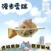 【怪獸部落LitoMon】漫步雲端吸盤式貓吊床 (三種款式) 耐重高達20kg 寵物居家用品 貓咪吊床 貓咪最愛