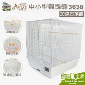 《寵物鳥世界》AVIAN WORLD 中小型觀景台式鸚鵡籠 3638/加深方頂籠│烤漆籠 鳥籠DA0950 DA0906
