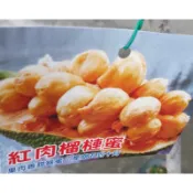 ★綠霖園藝★紅肉榴槤蜜 靠接苗 高度70公分 水果樹苗/新興果樹/果苗/嫁接/植物/盆栽