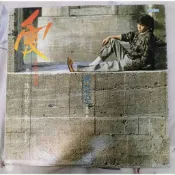 橘子貓黑膠唱片 洪榮宏 愛情的力量 老土地的話