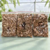 (店+)根呼吸椰塊 1公升｜椰塊介質｜椰纖塊｜蘭花介質｜鹿角蕨｜植物栽培介質｜園藝資材
