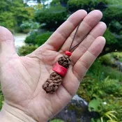 Pinkoi 代購 - 山葡萄藤蔓與山珊瑚吊飾 120240707-1