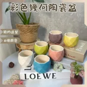 (店+)沐晨植物園｜彩色陶瓷多肉盆 多肉盆器 多肉花盆 多肉盆 花盆 陶瓷花盆 造型陶盆 多肉 陶瓷盆