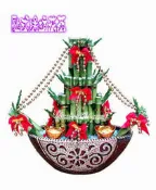 【歐式綠坊花苑】[gtb087] 一帆風順(40cm)開運竹~桃園中壢區內壢龍岡 園藝店 花坊 鮮花店 推薦 盆栽 盆景