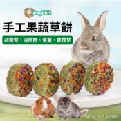 道格兔dogbbit | 獨立包裝 果蔬草餅 草磚 草餅 提摩西 苜蓿草 兔子零食 兔子 天竺鼠草餅 兔子草餅 龍貓草餅