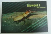 明信片- 空白明信片 bioweek 鍬形蟲 明信片