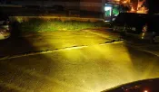 黑貓車部品~超值黃金光燈炮 H1 55W 雨霧專用 e34 e36 306 solio crv2 大燈 遠燈 霧燈