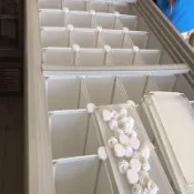 «台灣出貨開發票»冰櫃雪糕霜淇淋分類隔板分隔格擋欄冷凍丸子隔斷板冰柜內寘物架