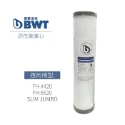 【BWT德國倍世】 除氯過濾器(FH4420/FH6620)專用活性碳濾芯(DIY)