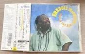 Freddie McGregor / Magic in the Air / Big Ship 日版CD 細節如圖 資料面