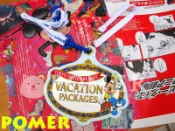 ☆POMER☆日本東京迪士尼樂園絕版正品 假期套票 限定紀念品 米奇 悠遊卡套 證件套 識別證套 票卡夾 零錢包 兩用款