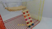 ==臻品寵物生活館==兩件式二件式實木軟橋.樓梯(爬梯).寵物玩具.倉鼠布丁鼠哈姆太郎小鸚鵡牡丹愛情鳥橫斑太平洋鼠玩具