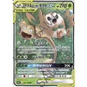 寶可夢 PTCG 木木梟&阿羅拉椰蛋樹GX RR TT