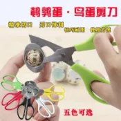 不鏽鋼鵪鶉蛋剪刀開蛋器鳥蛋切割廚房專用擺攤好幫手剝蛋工具 鵪鶉蛋剪 開蛋器 蛋料理輔具