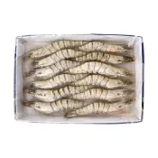 (店+)【魚大俠】進口海草蝦 12P裝(12尾/實重約270g/盒)-1C4A 魚大俠 SP123
