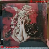 【淘淘屋】Aurora黑膠TheGodsWeCanTouch