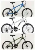 【放心愛】2020 HASA comp 2.0 20吋 童車 青少年 18速 自行車 登山車 前後輪 快拆 高雄 盛恩
