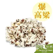 《寵物鳥世界》藍亞仕 爆高粱●爆米花 (分裝包)100g │鳥點心 鸚鵡零嘴 寵物鼠 兔子 蜜袋鼯皆可食用 CC072