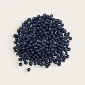 【現貨⭐電子發票】青仁黑豆 炒過 600g 沖泡用 黑豆 黑豆水 炒黑豆