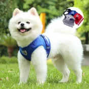 (店+)DC寵物現貨秒出🐾寵物胸背帶 小型犬 中型犬 大型犬 夜間反光 狗胸背帶 貓胸背帶 寵物背心 防爆衝胸背帶 A091
