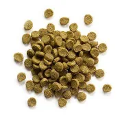 美國路比爾寵貂飼料 100G 蜜袋鼯 刺蝟 雪貂 沙鼠 通心粉 睡鼠 主食
