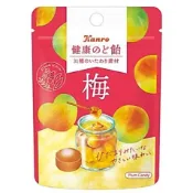 日本製 Kanro pocket 健康喉糖 青梅/麥蘆卡蜂蜜 輕巧隨身包