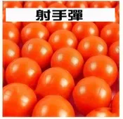【煉烽號】比賽用漆彈  射手彈(鎮暴槍、漆彈槍通用款) 2000發/箱