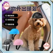 免運~宠物騎行頭盔安全帽⭐ 防撞防摔 透氣舒適 猫咪狗狗适用