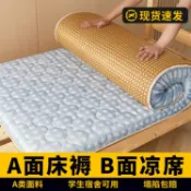 心靈避風港 【冰絲涼感】涼蓆 床墊 軟墊 榻榻米墊 床褥 學生宿舍 單人床 冬夏兩用 透氣散熱 可折疊收納 親膚不悶熱