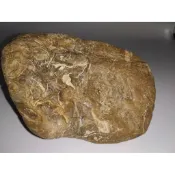 台灣西海岸雜木化玉 110*69*高62mm重536克 雕刻把玩觀賞皆可/招財，正能量,擺飾