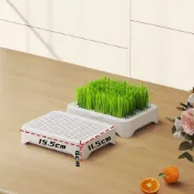 【源頭好貨】貓草盆栽 種子水培盒 貓薄荷 化毛草 無土貓草育苗盤 貓零食 成幼貓用品