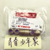 《少年家》光陽原廠 普利珠 驅動滾珠 JR 100 KIWI 100 得意100 勾引100 高手100 俏麗100化油