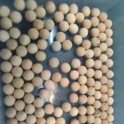 小荳荳 桌遊 配件 原木 木頭圓球 直徑 1 公分 (商品金額滿百元才出貨)