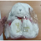 娃娃系列 絕版品 Harrods年度紀念熊 2019年 2018年115.7.17更新 降價